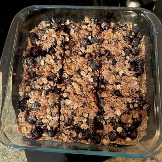 Blueberry Crisp Bars (Applesauce Crust)